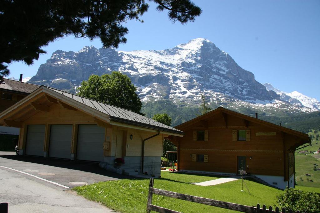 Chalet Baergbaechli Γκρίντελβαλντ Εξωτερικό φωτογραφία