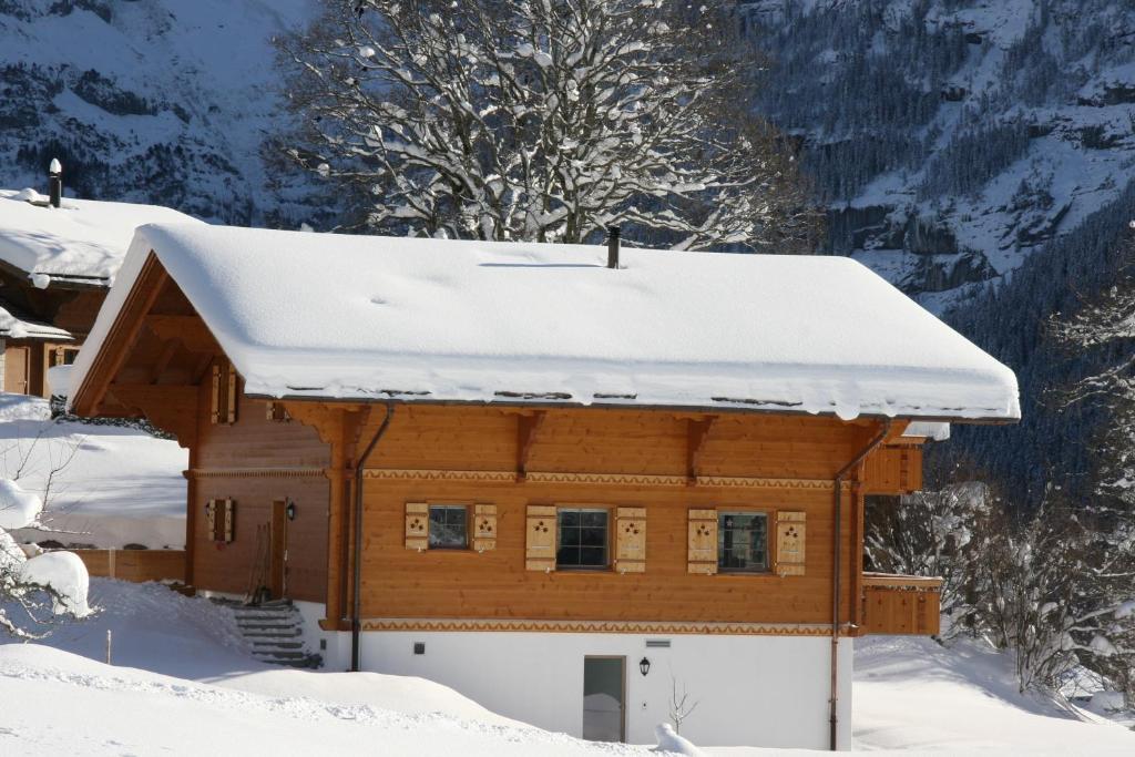 Chalet Baergbaechli Γκρίντελβαλντ Εξωτερικό φωτογραφία