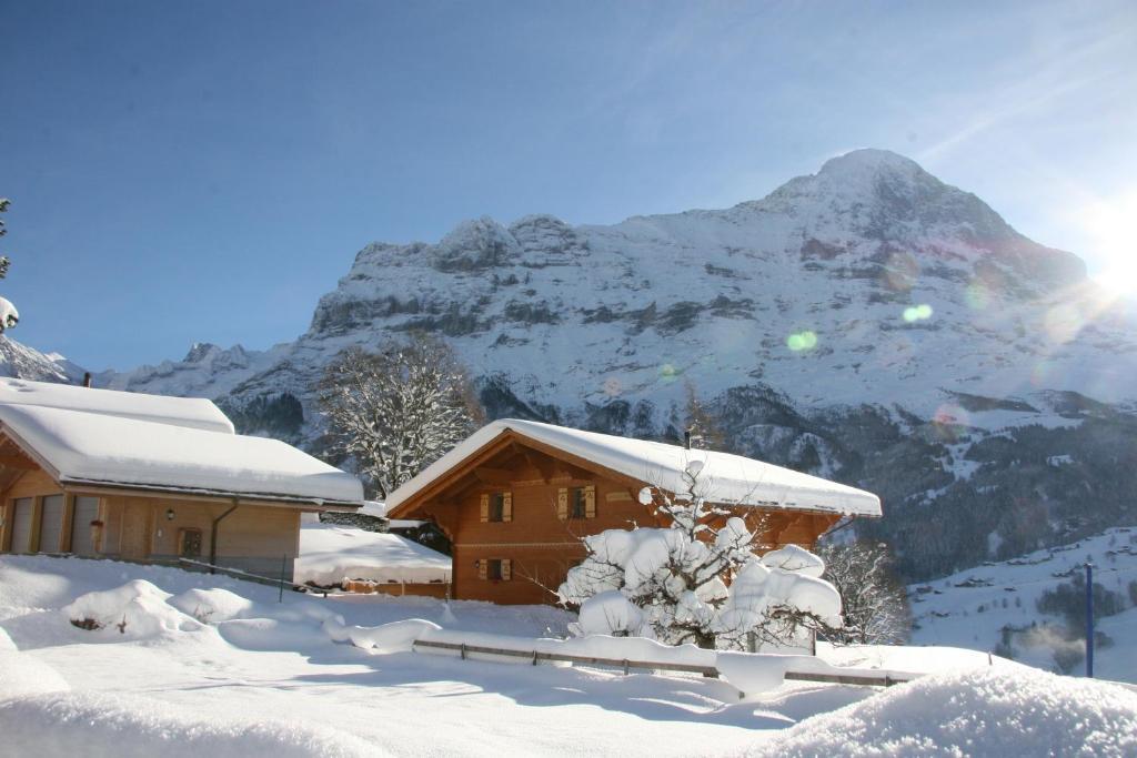 Chalet Baergbaechli Γκρίντελβαλντ Εξωτερικό φωτογραφία